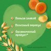 GERBER экструдированные Пшенично-овсяные снеки с морковью и апельсином