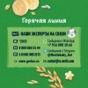 GERBER экструдированные Рисово-пшеничные звездочки с бананом cерии Organic