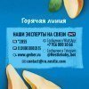 Фруктовое пюре GERBER «Груша», обогащенное витамином C