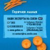 Овощное пюре GERBER «Морковь»