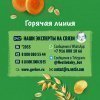 GERBER экструдированные Пшенично-овсяные снеки с морковью и апельсином