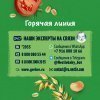 GERBER экструдированные Пшенично-овсяные снеки с томатом и морковью cерии Organic