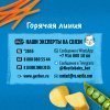 Растительно-мясное пюре Gerber Овощи с фрикадельками из говядины
