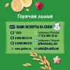 GERBER экструдированные Рисово-пшеничные звездочки с бананом и малиной cерии Organic 35г. - фото 16