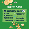 GERBER экструдированные Рисово-пшеничные звездочки с бананом cерии Organic 35г. - фото 16