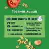 GERBER экструдированные Пшенично-овсяные снеки с томатом и морковью cерии Organic 35г. - фото 16