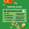 GERBER экструдированные Пшенично-овсяные снеки с морковью и апельсином 35г. - фото 16